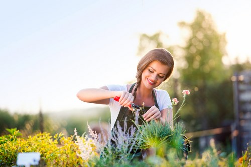 Garden maintenance worker inspecting a lawn