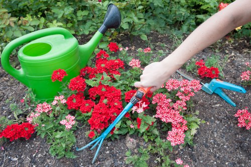Team using wheelbarrow and lifting aid on a garden project